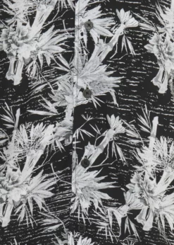 Indicode Jeans MAROCCO - Koszula - Czarna - Odzież -Indicode Jeans Sklep f62c475efdea40a1bb8b347eca471fd8 scaled